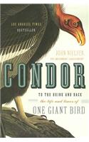 Condor