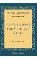 Folk Beliefs of the Southern Negro (Classic Reprint)