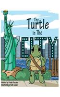 Turtle In The City
