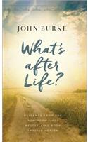 What's after Life?