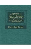 A Naturalist's Wanderings in the Eastern Archipelago: A Narrative of Travel and Exploration from 1878 to 1883