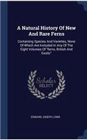 A Natural History Of New And Rare Ferns
