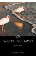 White Ibis Dawn