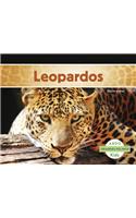 Leopardos