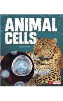 Animal Cells