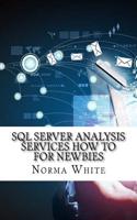 SQL Server Analysis Services How to for Newbies: (English)