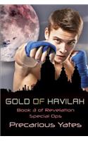 Gold of Havilah