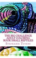 BIG Challenge Adult Coloring Book Small Reptiles