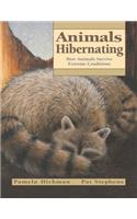 Animals Hibernating