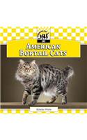 American Bobtail Cats
