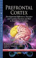 Prefrontal Cortex