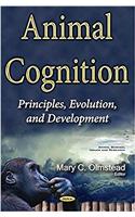 Animal Cognition