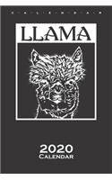 Lama Portrait Calendar 2020
