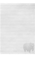 Bear Journal