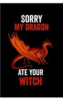 Sorry My Dragon Ate Your Witch