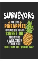 Surveyors Are Like Pineapples. Tough On The Outside Sweet On The Inside