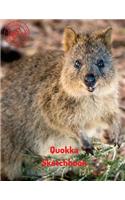 Quokka Sketchbook