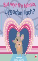 Sut Wyt Ti'n Teimlo, Llygoden Fach?