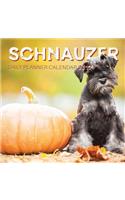 Schnauzer
