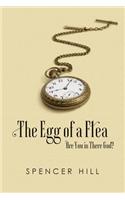 Egg of a Flea Are You in There, God?