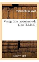 Voyage Dans La Péninsule Du Sinaï