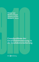 Grundprobleme der Invaliditätsbemessung in der Invalidenversicherung