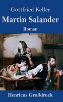 Martin Salander (Großdruck): Roman