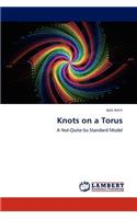 Knots on a Torus