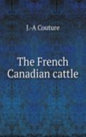 French Canadian cattle