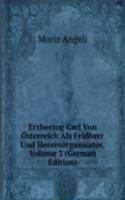 Erzherzog Carl Von Osterreich Als Feldherr Und Heeresorganisator, Volume 3 (German Edition)