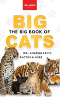 The Big Book of Big Cats: 100+ Amazing Facts About Lions, Tigers, Leopards, Snow Leopards & Jaguars(30 Animal Books for Kids)