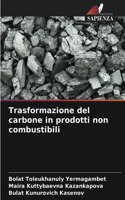 Trasformazione del carbone in prodotti non combustibili