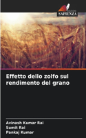 Effetto dello zolfo sul rendimento del grano
