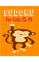 sudoku for kids 12-14