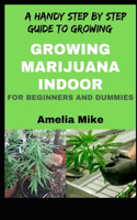 A Handy Step By Step Guide To Growing Marijuana Indoor For Beginners And Dummies