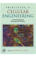 Principles of Cellular Engineering: Understanding the Biomolecular Interface