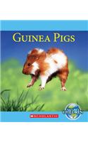 Guinea Pigs