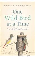 One Wild Bird at a Time: Portraits of Individual Lives