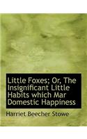 Little Foxes; Or, the Insignificant Little Habits Which Mar Domestic Happiness
