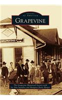 Grapevine