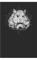 Hamster Drawing