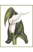 Notebook Calla Lily: Blank journal. 150 pages, Soft cover, A4+ (21.59 x 27.94 cm) 8,5 x 11 inch