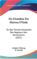 de L'Amidon Du Marron D'Inde