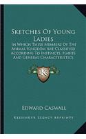 Sketches of Young Ladies: In Which These Members of the Animal Kingdom Are Classified According to Instincts, Habits and General Characteristics