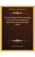 On the Identity of the Ascending Process of the Astragalus in Birds with the Intermedium (1880)