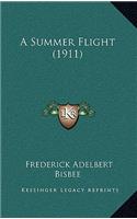 A Summer Flight (1911)