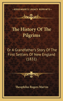 History Of The Pilgrims: Or A Grandfather's Story Of The First Settlers Of New England (1831)