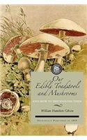 Our Edible Toadstools and Mushrooms
