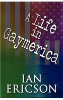 A Life in Gaymerica