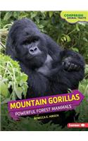 Mountain Gorillas